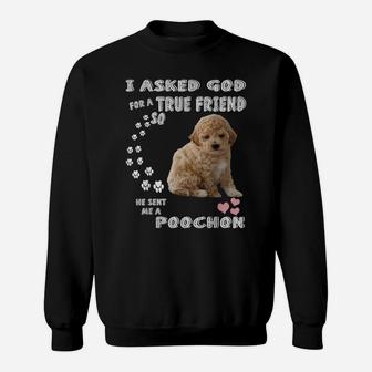 Bichon Poodle Dog Mom, Bichon Poo Dad Costume, Cute Poochon Sweatshirt | Crazezy