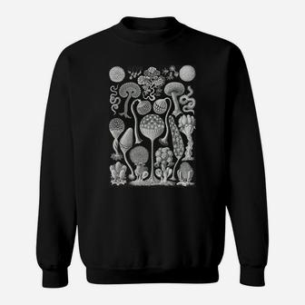 Biology Mycetozoa Slime Molds Scientific Haeckel Sweatshirt Sweatshirt | Crazezy