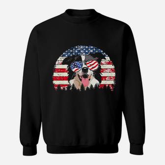 Border Collie Dog American Flag 4Th Of July Retro Vintage Sweatshirt - Monsterry UK
