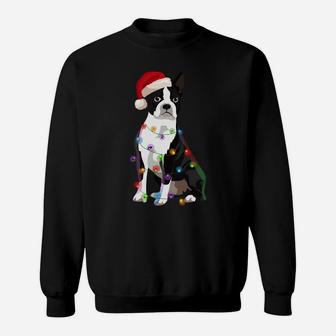 Boston Terrier Bostie Christmas Lights Xmas Dog Lover Sweatshirt Sweatshirt | Crazezy