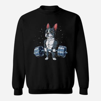 Boston Terrier Weightlifting Sweatshirt | Crazezy AU