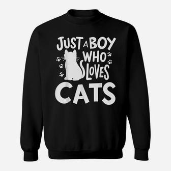 Cat Just A Boy Who Loves Cats Gift For Cat Lovers Sweatshirt | Crazezy AU