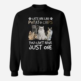 Cats Are Like Potato Chips You Can Not Have Just One Funny Sweatshirt | Crazezy UK
