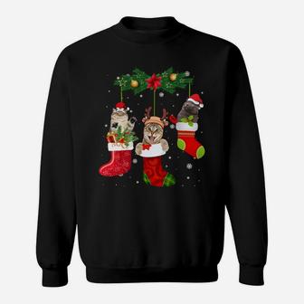 Cats In Christmas Sock Funny Pajamas Family Cat Lover Gifts Sweatshirt | Crazezy AU