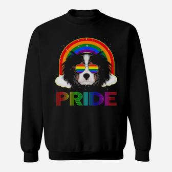 Cavalier King Gay Pride Lgbt Rainbow Flag Sun Sweatshirt - Monsterry