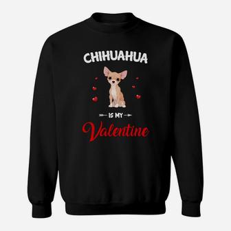 Chihuahua Is My Valentine Dog Breed Lovers Sweatshirt - Seseable