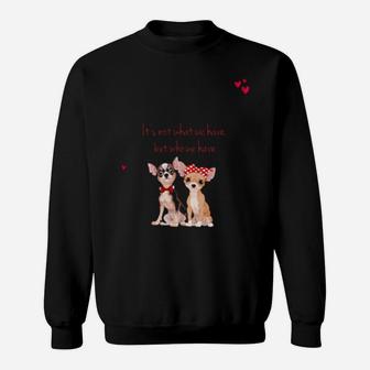 Chihuahua It's Not What Have Sweatshirt - Monsterry