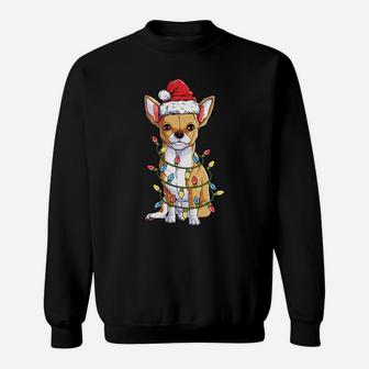 Chihuahua Santa Christmas Tree Lights Xmas Gifts Boys Men Sweatshirt Sweatshirt | Crazezy CA