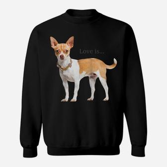 Chihuahua Shirt Dog Mom Dad Tee Love Pet Puppy Chiuauaha T Raglan Baseball Tee Sweatshirt | Crazezy