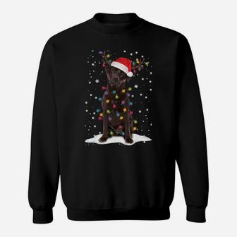 Chocolate Lab Labrador Christmas Tree Light Pajama Dog Xmas Sweatshirt | Crazezy UK