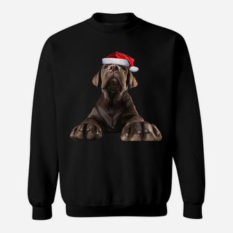 Chocolate Lab Puppy Dog Santa Hat Image Funny Christmas Gift Sweatshirt Sweatshirt | Crazezy