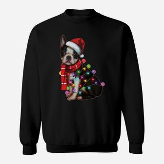 Christmas Dog, Boston Terrier, Xmas Gift, Dog Lover Present Sweatshirt Sweatshirt | Crazezy