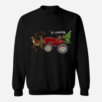 Christmas Is Coming Funny Farmer Santa Claus Tractor Gifts Sweatshirt | Crazezy DE