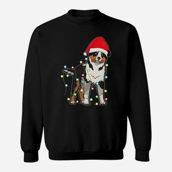 Christmas Lights Australian Shepherd Dog Lover Xmas Gift Sweatshirt | Crazezy AU