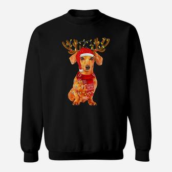 Christmas Lights Dachshund Dog Lover Dog Dad Dog Mom Sweatshirt | Crazezy