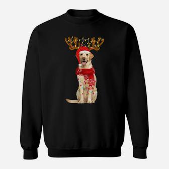 Christmas Lights Labrador Dog Lover Dog Dad Dog Mom Sweatshirt | Crazezy