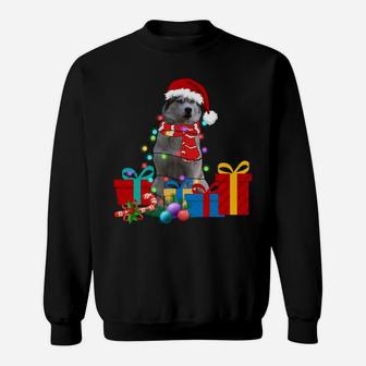 Christmas Lights Siberian Husky Dog Puppy Xmas Pajama Sweatshirt | Crazezy DE