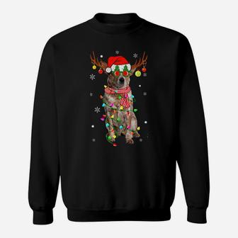 Christmas Pajama Australian Cattle Xmas Lights Dog Dad Mom Sweatshirt | Crazezy