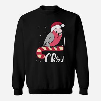 Chubby Galah Cockatoo Merry Christmas Kawaii Parrot Sweatshirt Sweatshirt | Crazezy