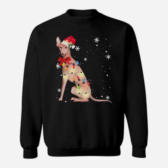 Cirneco Dell'etna Dog Christmas Light Xmas Mom Dad Gifts Sweatshirt | Crazezy DE