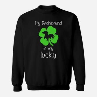 Cool St Patricks Dachshund My Dachshund Is My Lucky Sweatshirt - Thegiftio UK