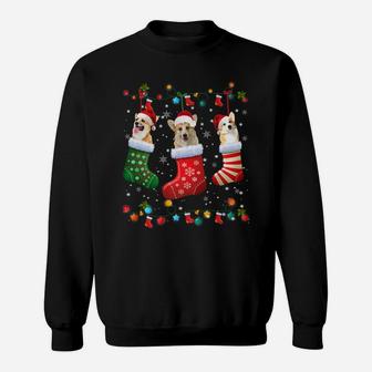 Corgi Christmas Socks Funny Xmas Pajama Dog Lover Gift Sweatshirt | Crazezy CA