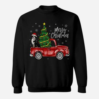 Cute Bernese Mountain Dog Truck Merry Christmas Dog Lover Sweatshirt Sweatshirt | Crazezy