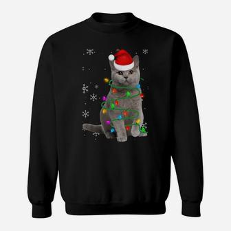 Cute British Shorthair Christmas Hat Santa Xmas Sweatshirt Sweatshirt | Crazezy