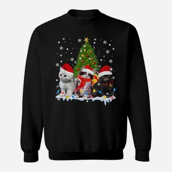 Cute Cat Christmas Tree Ornament Decor Cat Lovers Owner Xmas Sweatshirt | Crazezy DE