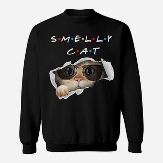Cute Cat Lovers Funny Smelly Cat Sweatshirt | Crazezy UK