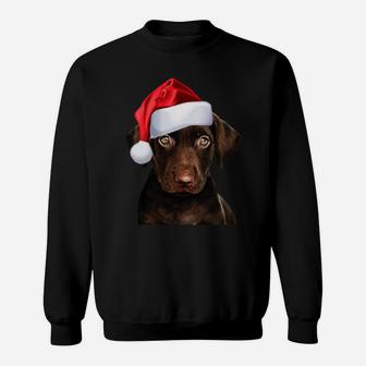 Cute Chocolate Lab Santa Hat Image Funny Dog Christmas Gift Sweatshirt | Crazezy