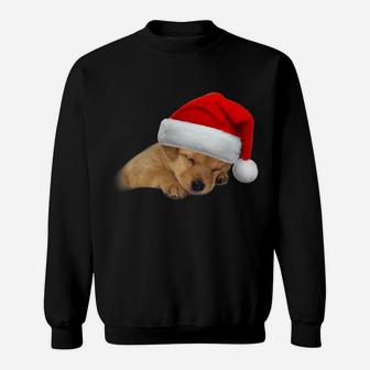 Cute Yellow Lab Puppy Shirt Dog Santa Hat Christmas Gift Sweatshirt | Crazezy