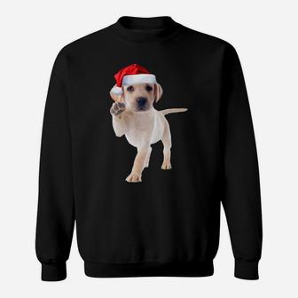 Cute Yellow Lab Puppy Shirt Santa Hat Funny Christmas Gift Sweatshirt | Crazezy