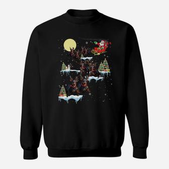 Dachshund Christmas Santa Sleigh Funny Dog Lover Xmas Sweatshirt | Crazezy DE