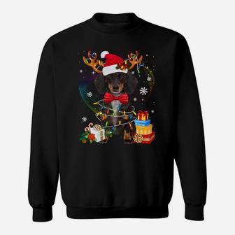 Dachshund Reindeer Christmas Lights Funny Dog Xmas Gift Sweatshirt | Crazezy