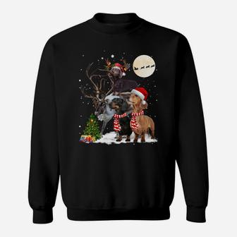 Dachshund Reindeer Xmas Lights Christmas Moon Xmas Dog Sweatshirt Sweatshirt | Crazezy
