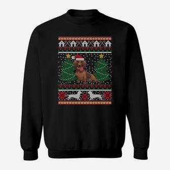 Dachshund Ugly Christmas Funny Holiday Dog Lover Xmas Gift Sweatshirt Sweatshirt | Crazezy