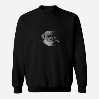 Dog Bulldog I Am Small And Sensitive But Also Fight Me Puppy Pet Sweatshirt - Monsterry AU