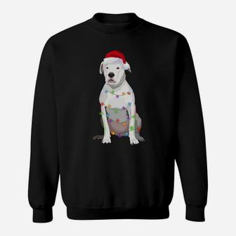 Dogo Argentino Christmas Lights Xmas Dog Lover Sweatshirt | Crazezy AU