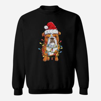 English Bulldog Santa Christmas Tree Lights Xmas Gifts Boys Sweatshirt | Crazezy CA