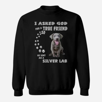 Fun Labrador Retriever Dog Mom Dad Costume, Cute Silver Lab Sweatshirt | Crazezy UK