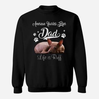 Funny American Hairless Terrier Dad Father Day Lover Dog Sweatshirt | Crazezy CA