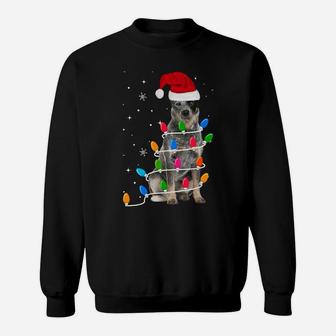 Funny Australian Cattle Christmas Light Gifts Xmas Sweatshirt Sweatshirt | Crazezy