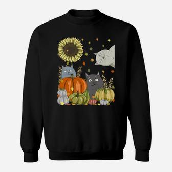 Funny Cats & Pumpkin Sunflower Fall Cat Lovers Thanksgiving Sweatshirt | Crazezy CA