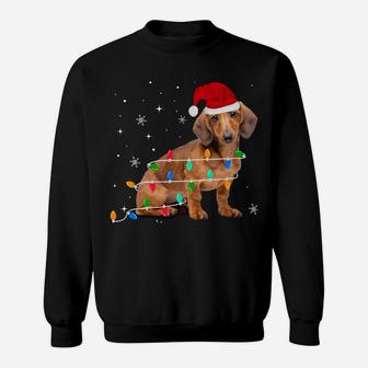 Funny Dachshund Christmas Light Gifts Xmas Sweatshirt Sweatshirt | Crazezy