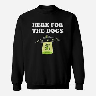 Funny Dogs Gifts For Dog Lover Puppy Doggo Cute Youth Kids Girl Boy Sweatshirt | Crazezy UK