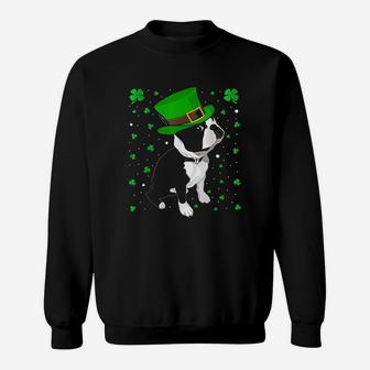 Funny Irish Leprechaun Hat Boston Terrier St Patricks Day Sweatshirt - Thegiftio UK