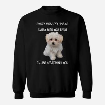 Funny Maltese Dog Watching Owner Quote Puppy Mom Dad Design Sweatshirt | Crazezy