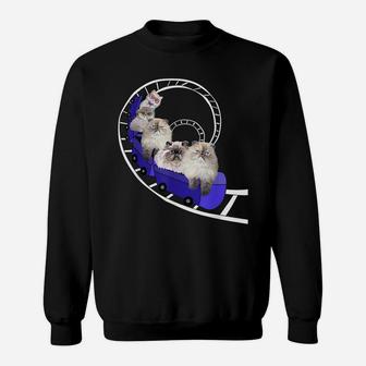 Funny Persian Cats Gifts Cat Lovers Roller Coaster Womens Sweatshirt | Crazezy AU
