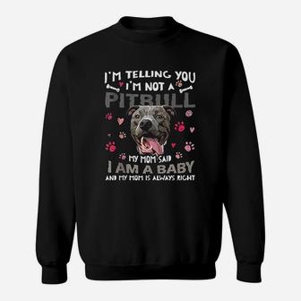 Funny Pitbull Baby Dog Mom Mother Pittie Dogs Lover Sweatshirt | Crazezy AU